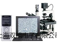 【雙旭牌】隔爆型本安型帶熱電偶電阻溫度變送器SBWZ-2470/44SD供應(yīng)商