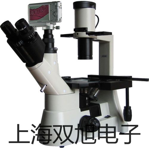 pơLDM-100 yx(sh)