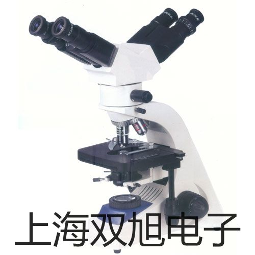pơWSS-421pٜضӋ(j)N