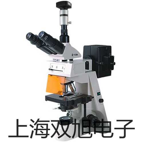 pơSY5420-5MO-C8Ȍ(do)yr(ji) 
