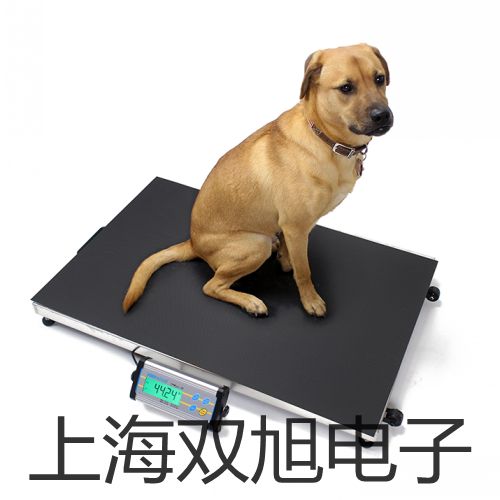 【雙旭牌】電子天平Y(jié)P15K-1銷售