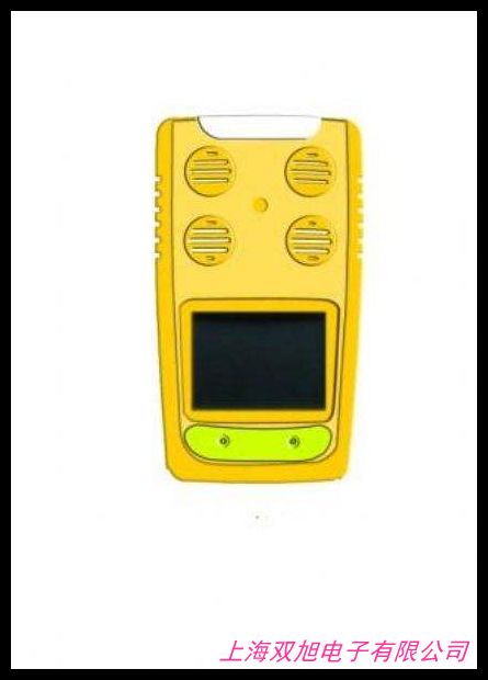 恩尼克斯有毒氣體檢測GS10-H2S氣體檢測儀ENNIX硫化氫氣體報警儀