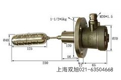 P䓻ʽ_P(gun)(bo)r