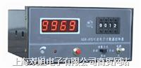 ӿӋ(j)(sh)NSK2-5M 