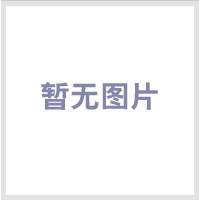 E3H-4DN2 _P(gun)/r/a(chn)S/E3H-4DN2